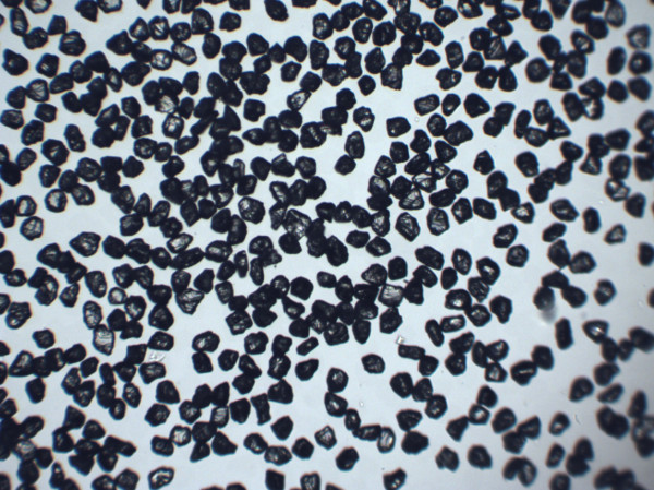 TBW-A 10-20（成品）